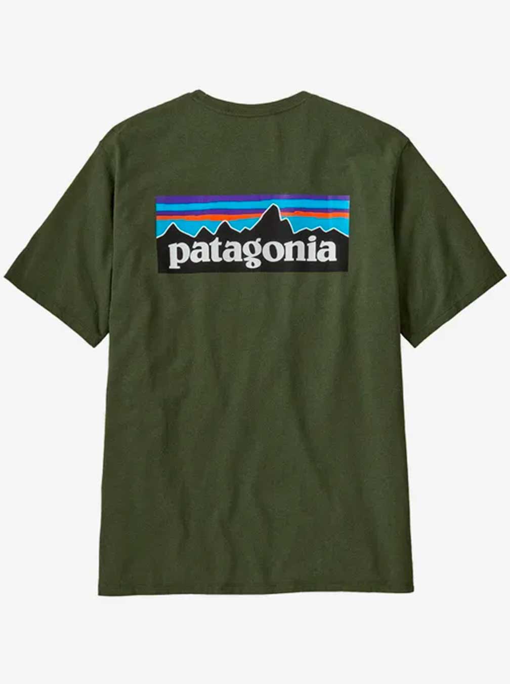 PATAGONIA T-Shirt - Grün